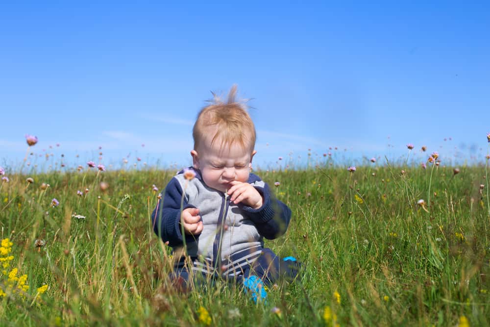 can-babies-get-hay-fever-medicalprices-co-uk